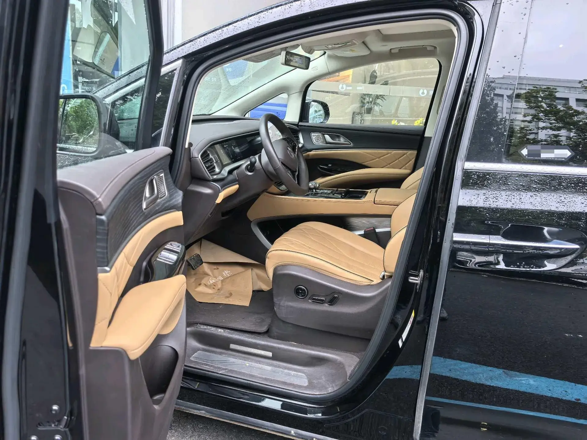 2024 DENZA D9 thumbnail 2