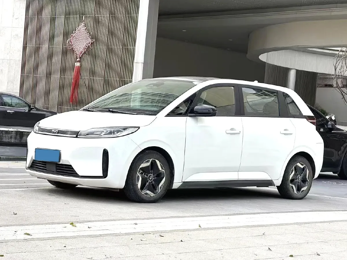 2021 BYD D1 BEV 53.6KWH,autocango,china used car exporter,china ev exporter,chinese used car exporter,chinese used ev exporter