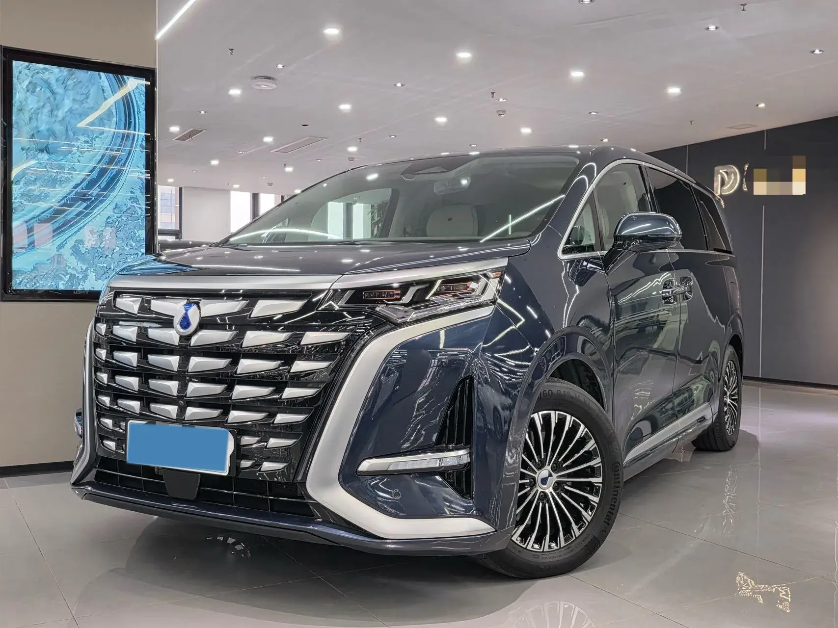 2022 DENZA D9 view 1