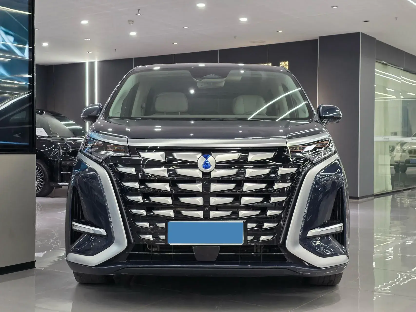 2022 DENZA D9 thumbnail 2