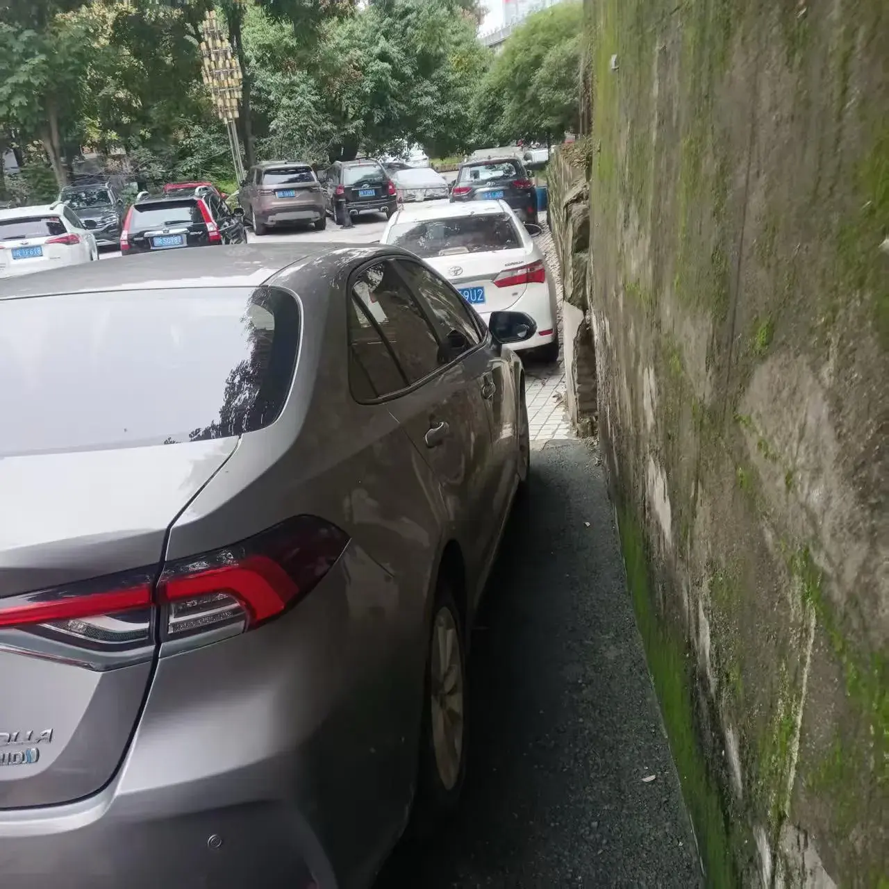 2019 TOYOTA COROLLA thumbnail 4