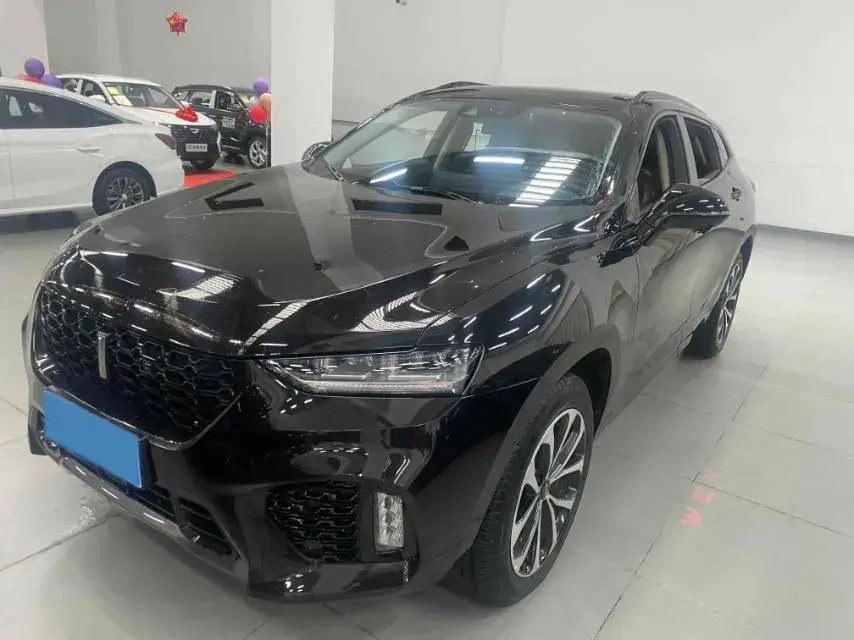 2019 WEY VV7 view 1