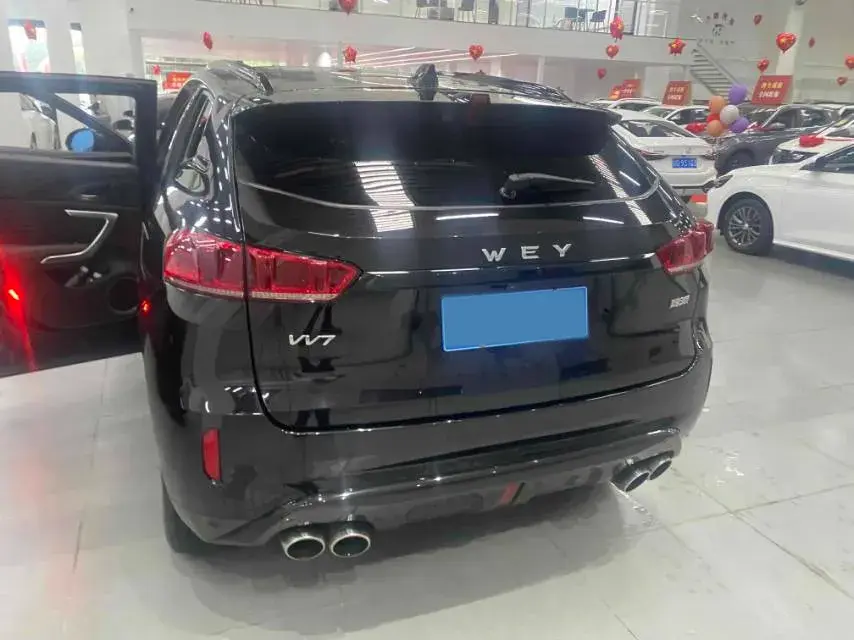 2019 WEY VV7 thumbnail 2