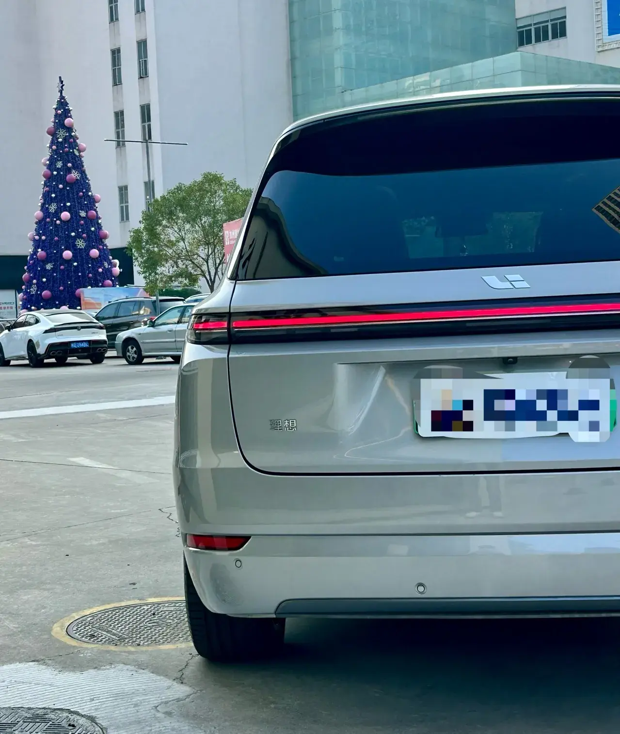 2022 LI L9 thumbnail 4