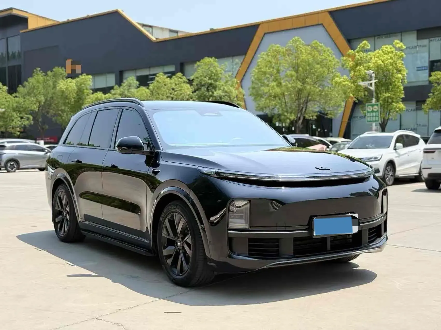 2023 LI L8 thumbnail 3