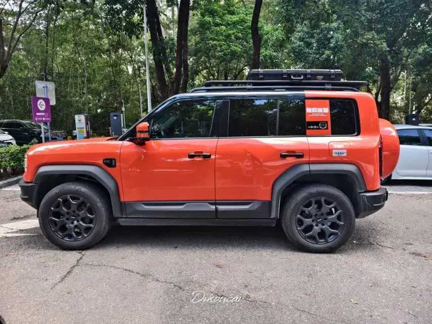 2024 FANGCHENGBAO BAO thumbnail 3