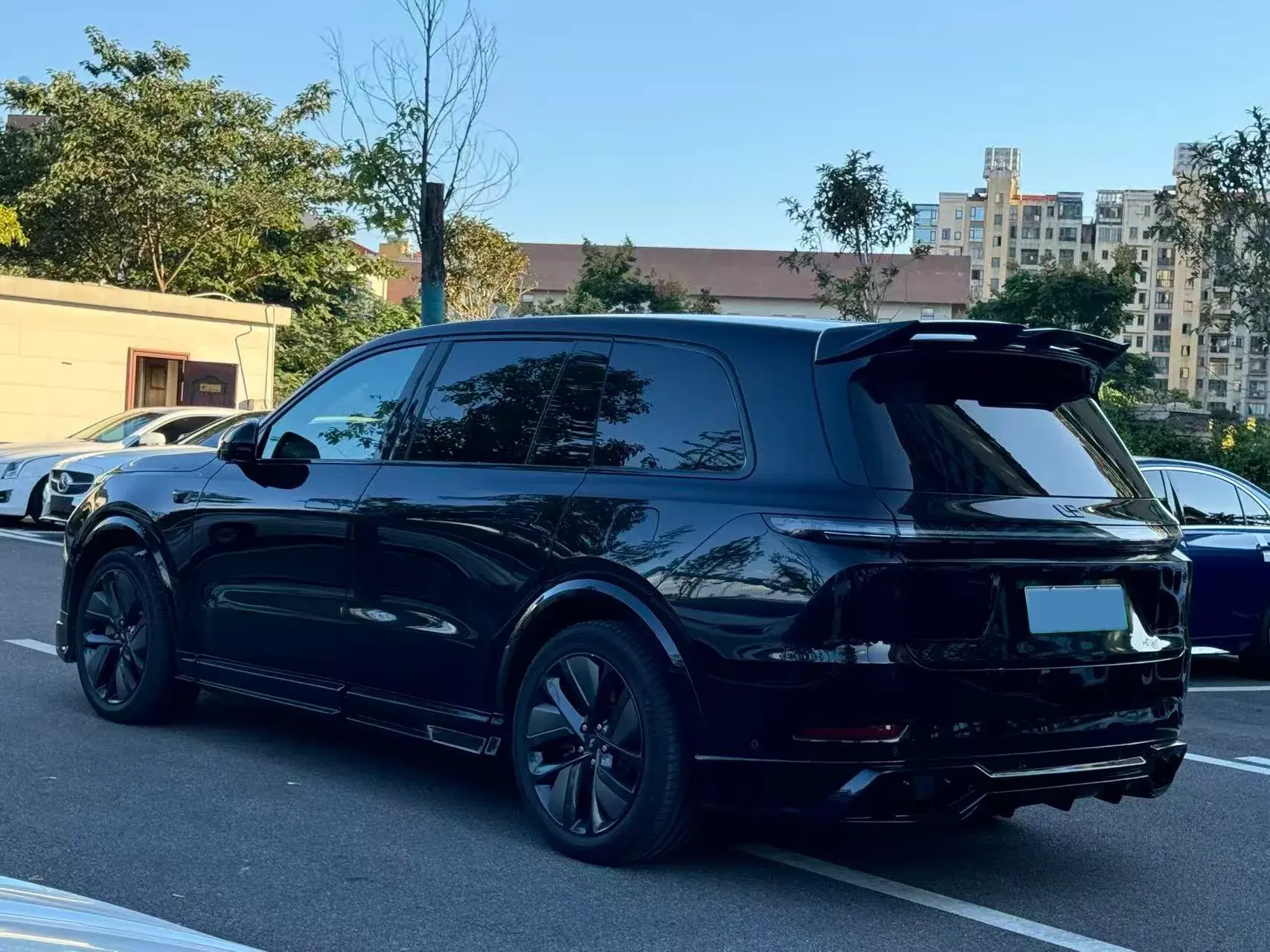 2022 LI L9 thumbnail 4