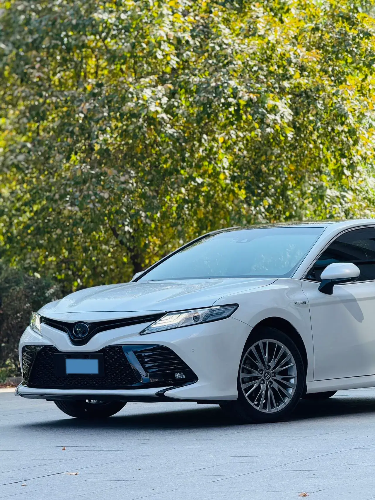 2019 TOYOTA CAMRY thumbnail 2