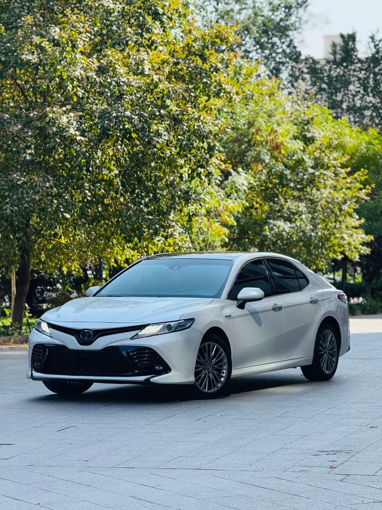 2019 TOYOTA CAMRY view 1