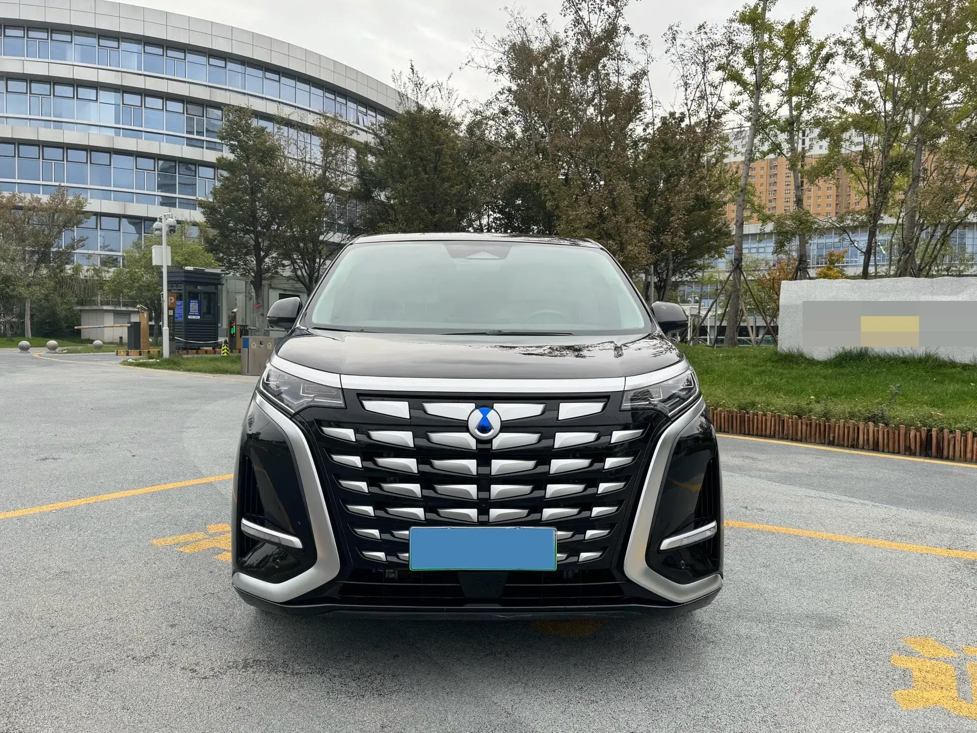 2022 DENZA D9 thumbnail 2