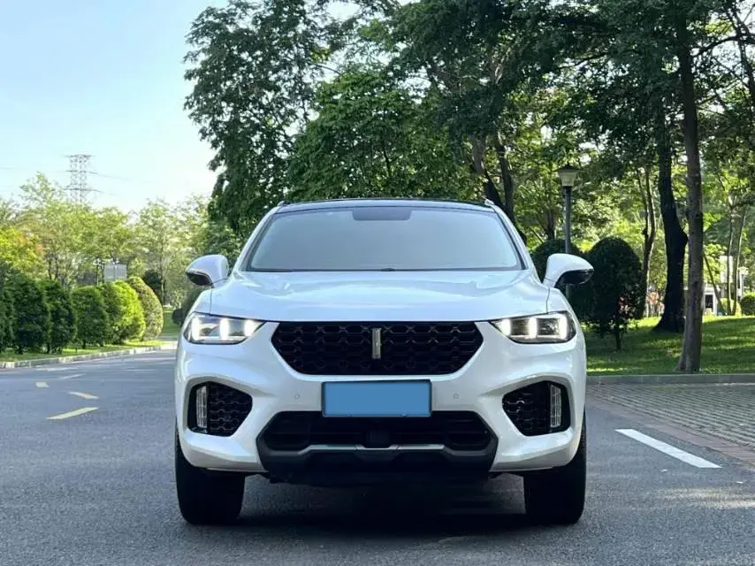 2020 WEY VV5 thumbnail 2