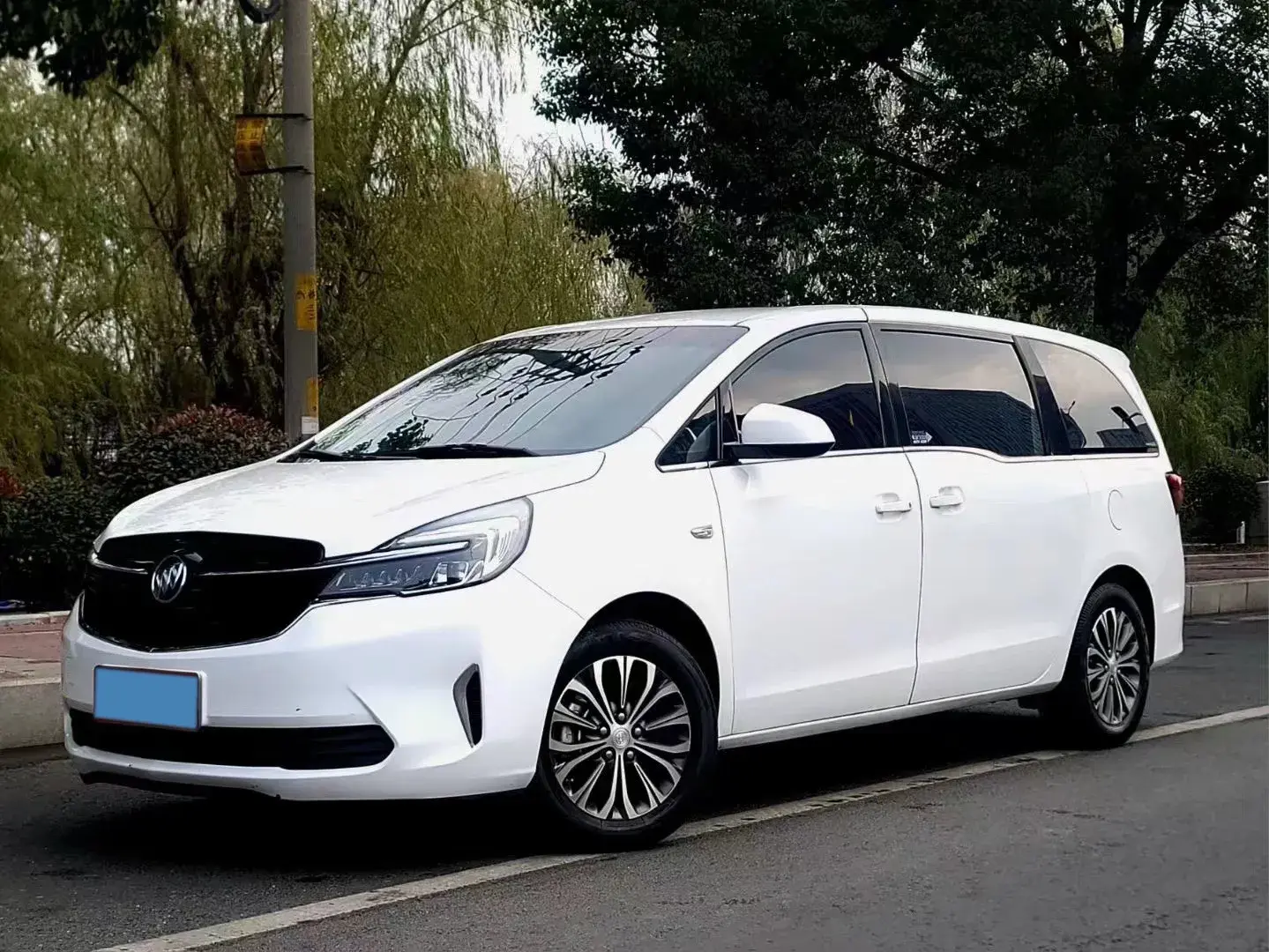 2020 BUICK GL8 view 1