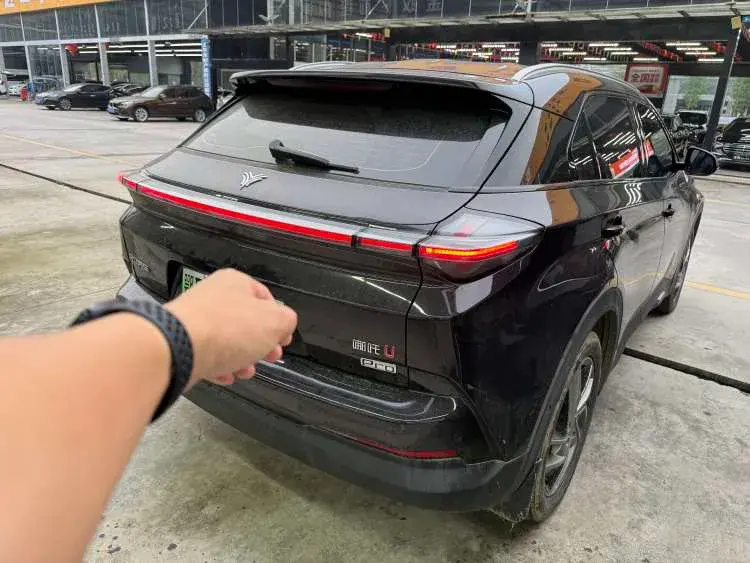 2021 NETA U thumbnail 2