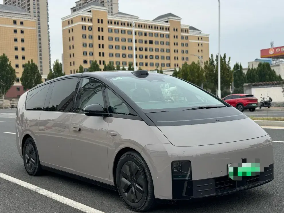 2024 LI MEGA thumbnail 2