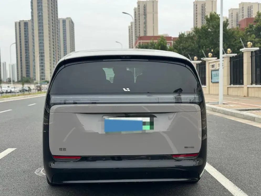 2024 LI MEGA thumbnail 4