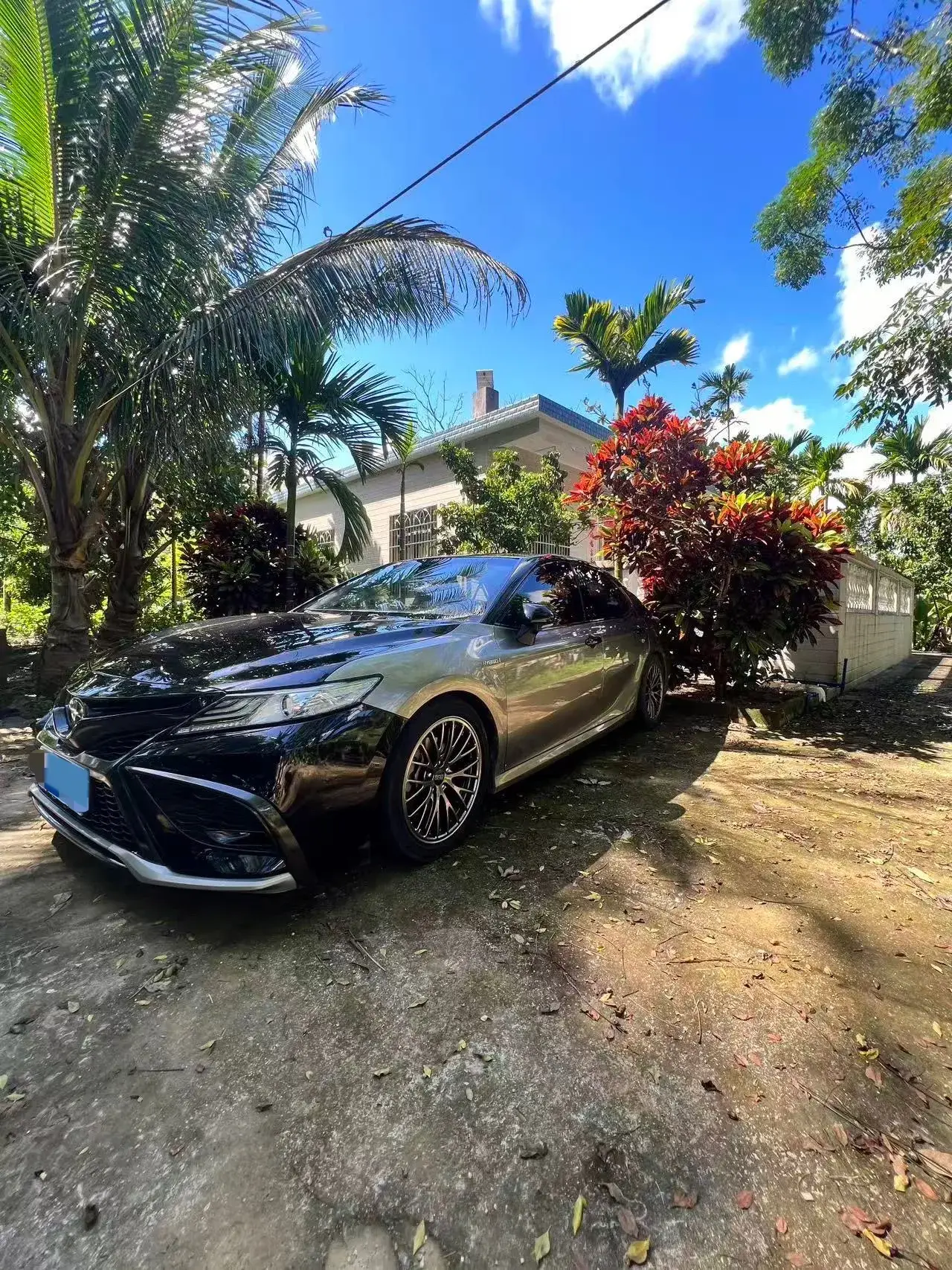 2019 TOYOTA CAMRY view 1