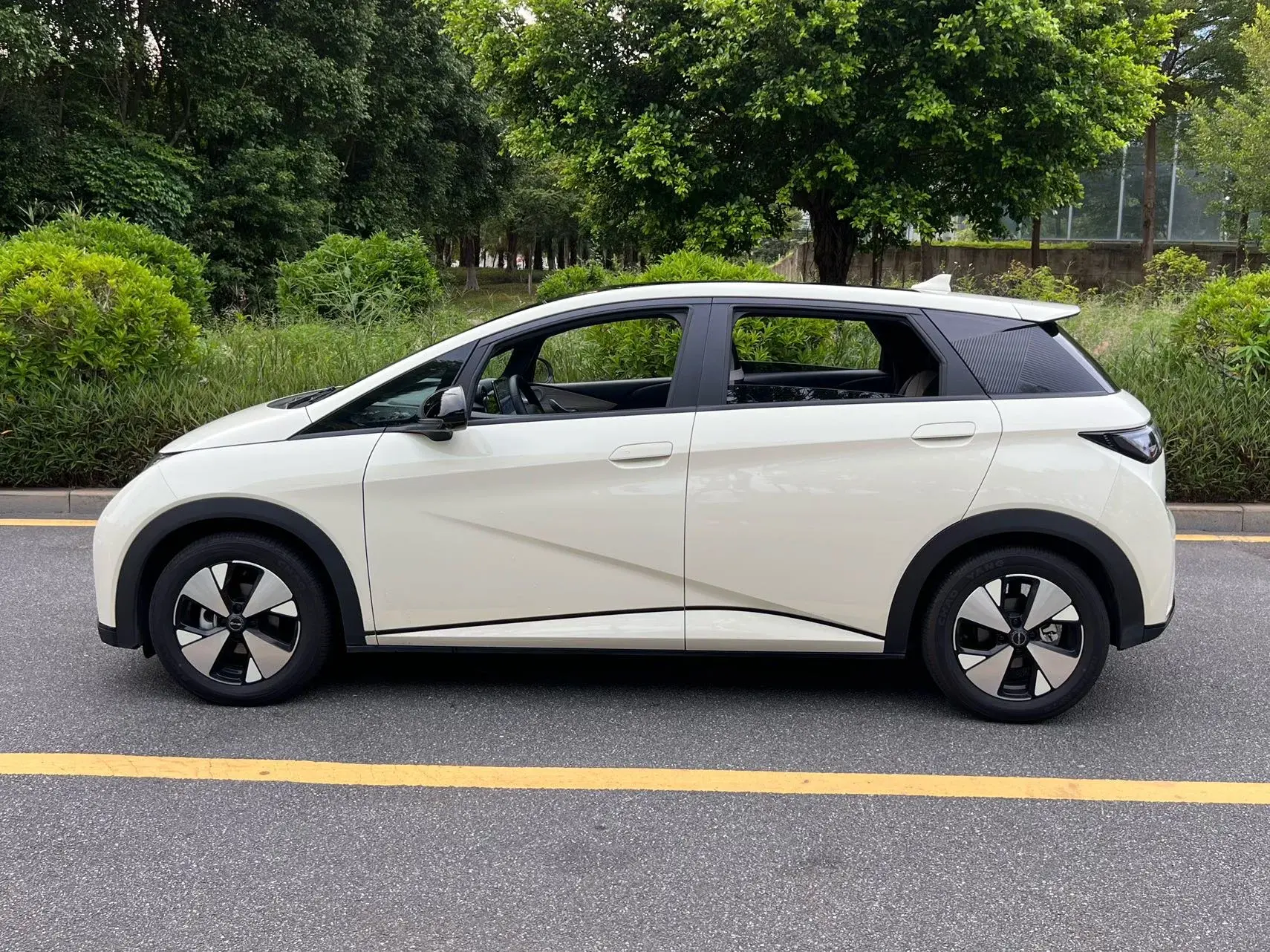 2023 BYD DOLPHIN thumbnail 2