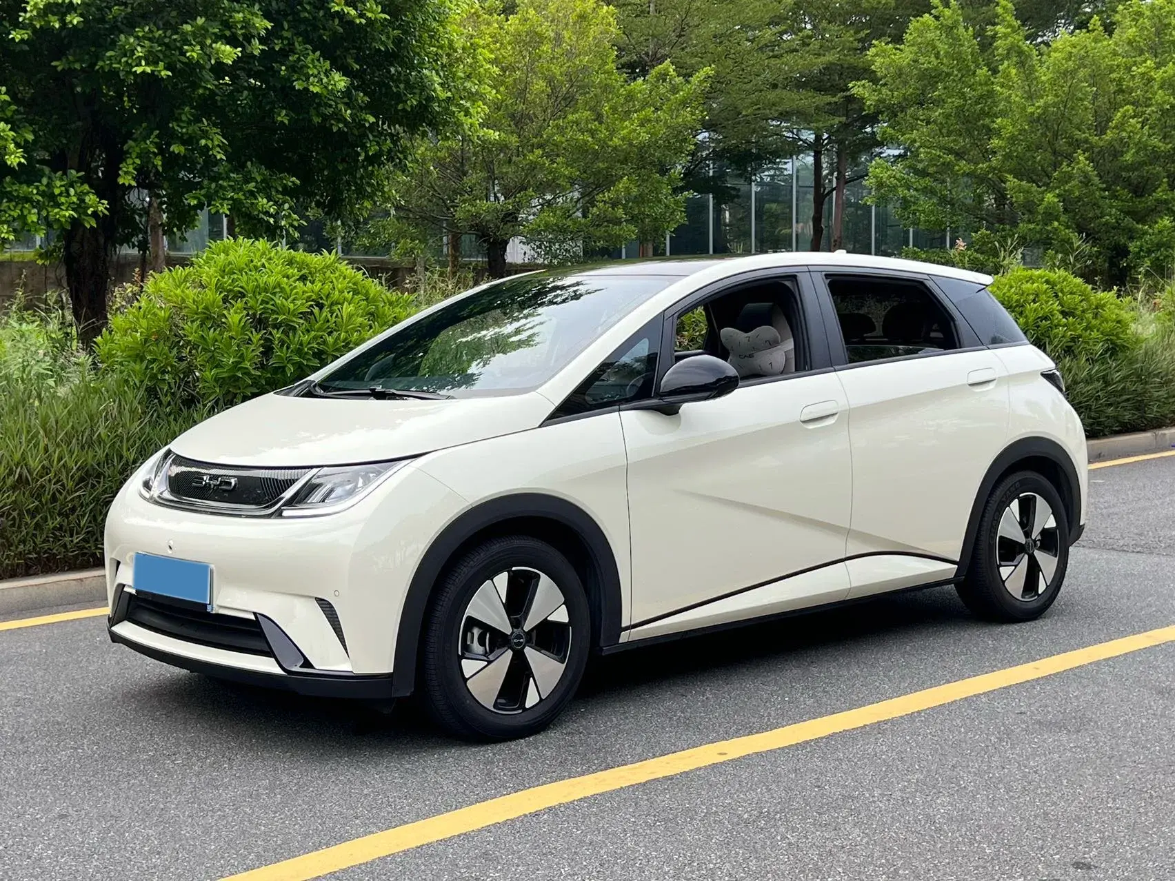 2023 BYD DOLPHIN view 1