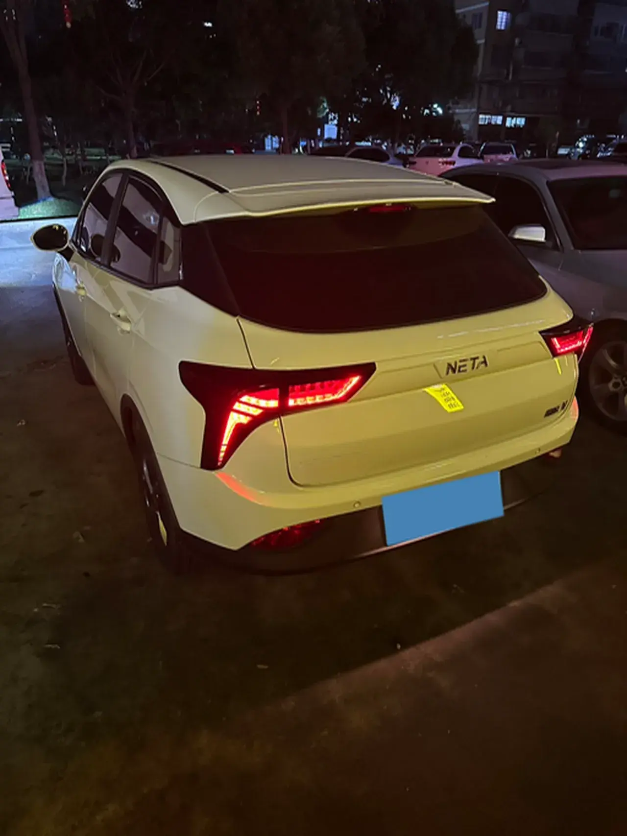 2022 NETA V thumbnail 4