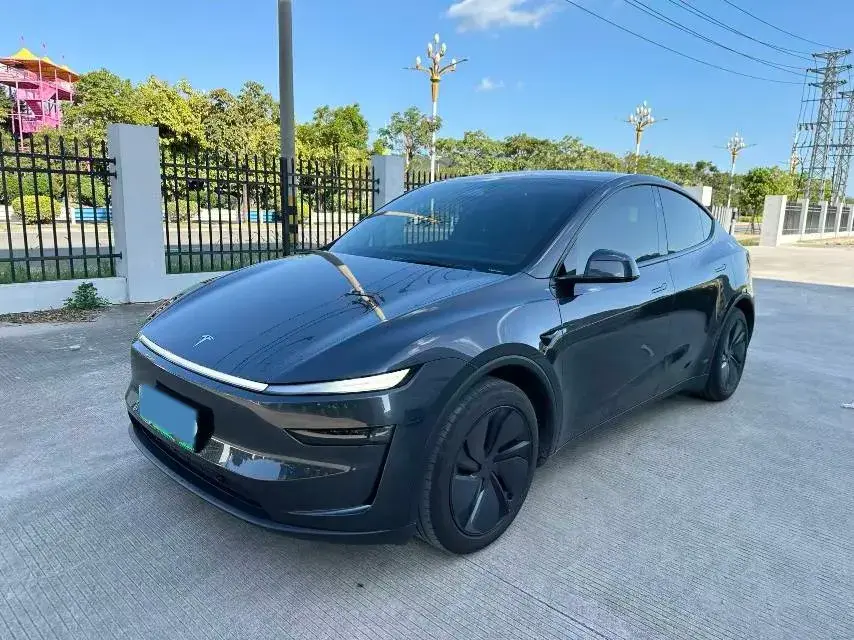 2025 TESLA MODEL view 1