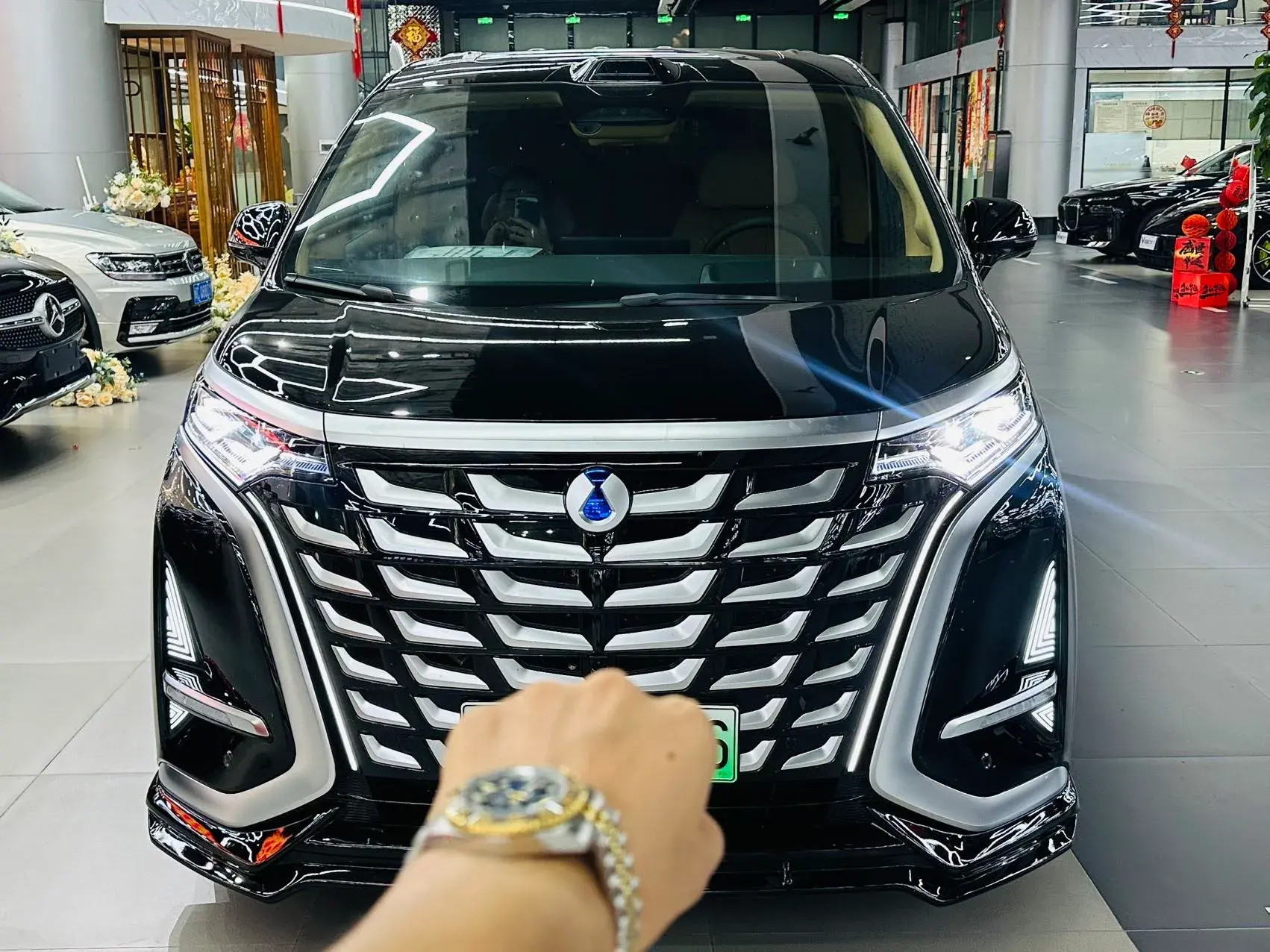 2025 DENZA D9 thumbnail 2