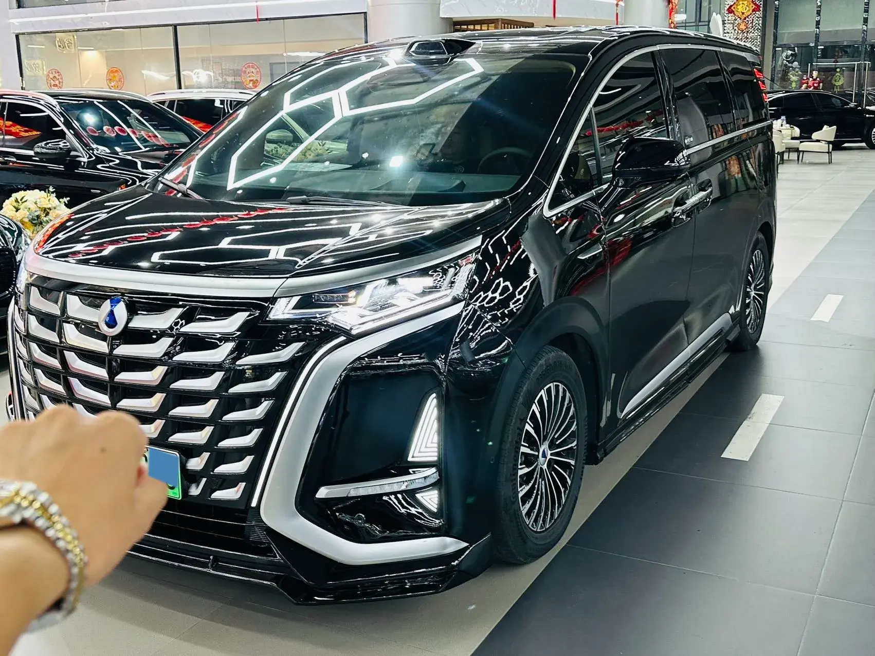 2025 DENZA D9 view 1