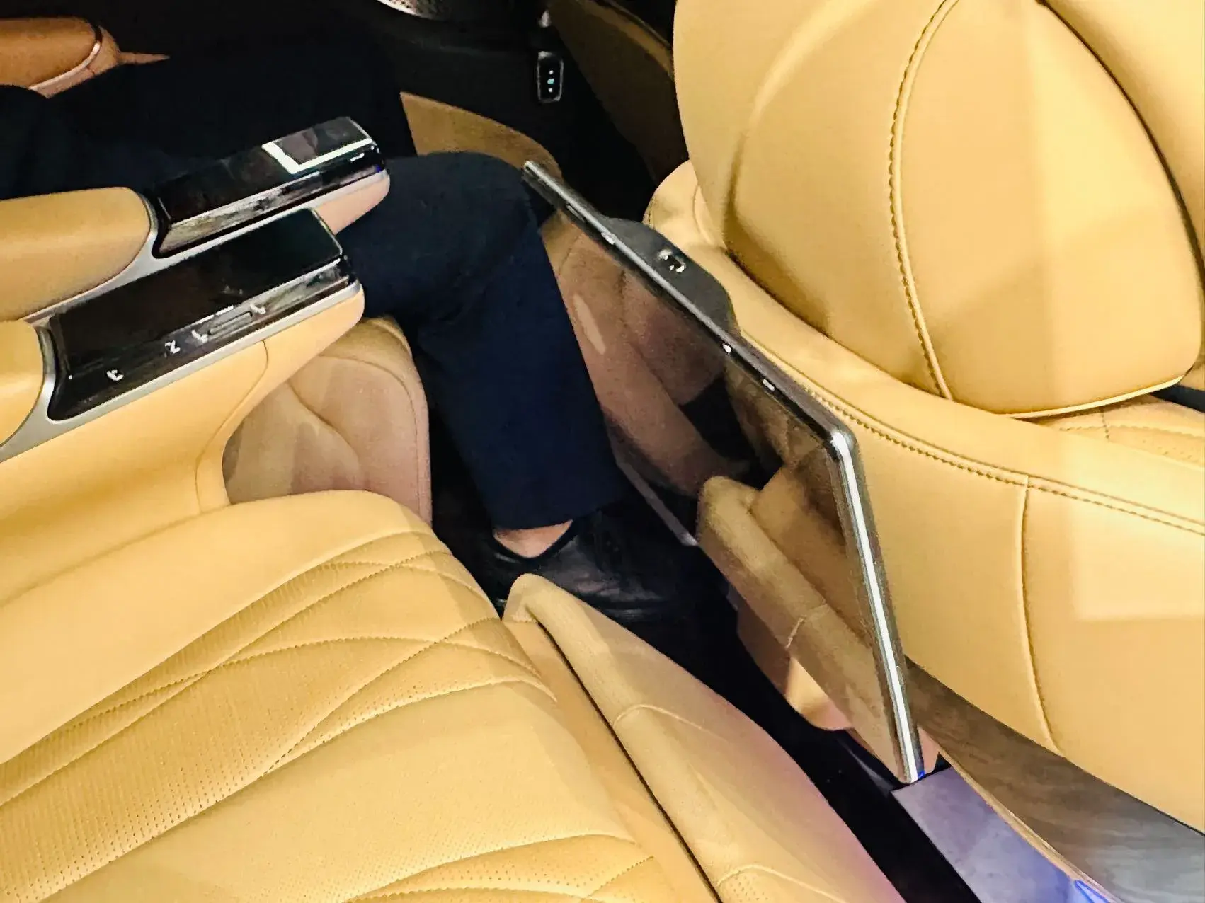 2025 DENZA D9 thumbnail 4