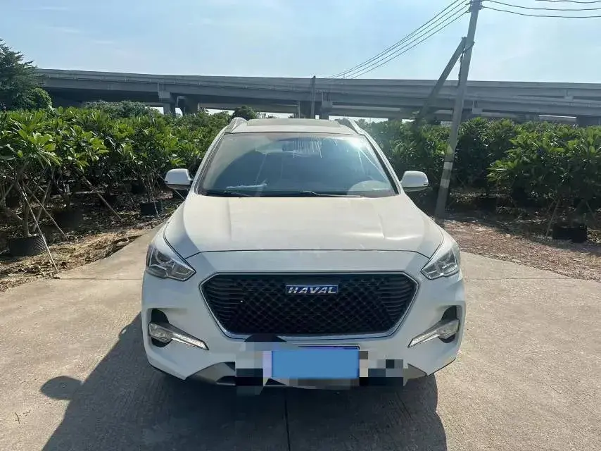 2020 HAVAL H6 thumbnail 2