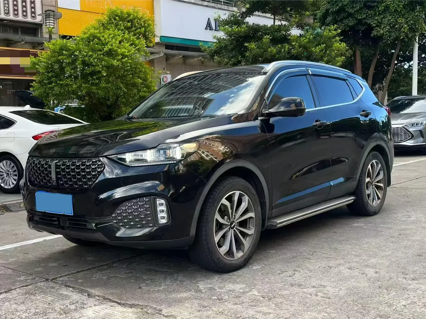 2020 WEY VV6 view 1