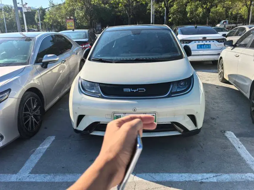 2021 BYD DOLPHIN thumbnail 2