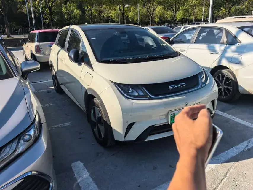 2021 BYD DOLPHIN thumbnail 3