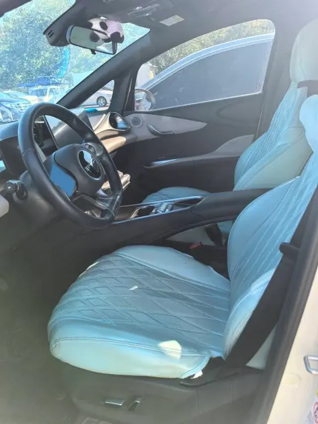 2021 BYD DOLPHIN thumbnail 4