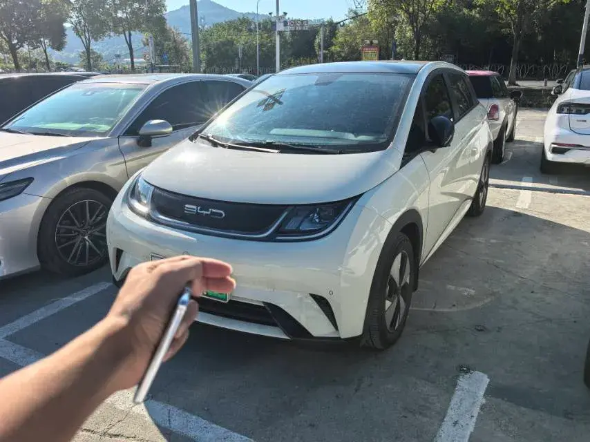 2021 BYD DOLPHIN view 1