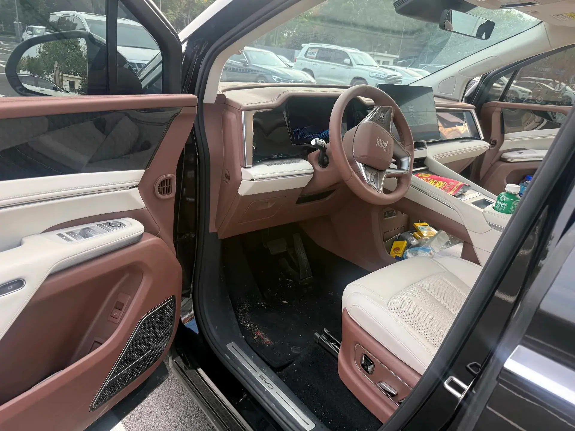 2025 BYD XIA thumbnail 2