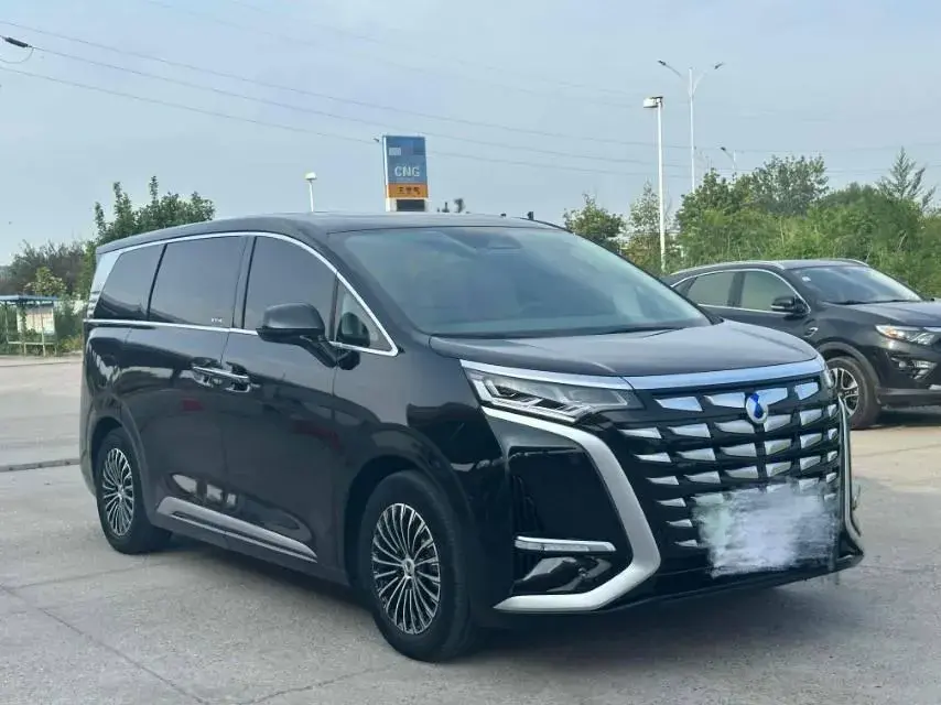 2022 DENZA D9 thumbnail 3