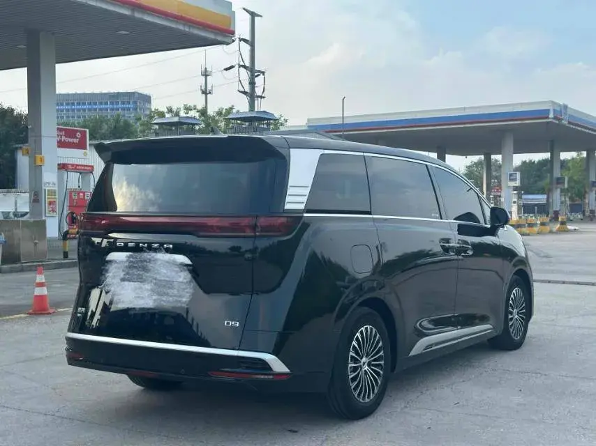 2022 DENZA D9 thumbnail 4