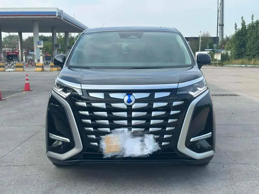 2022 DENZA D9 thumbnail 2