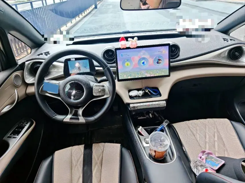 2021 BYD DOLPHIN thumbnail 4