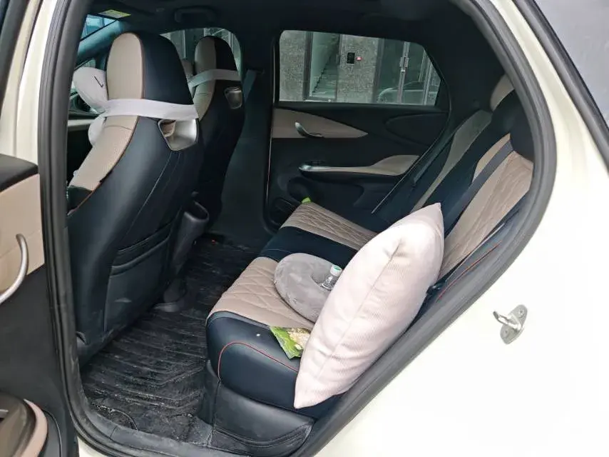 2021 BYD DOLPHIN thumbnail 3