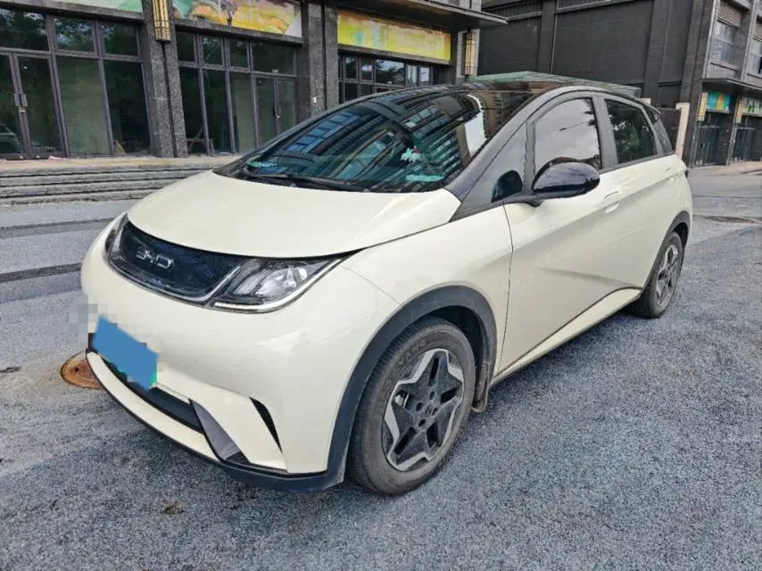 2021 BYD DOLPHIN view 1