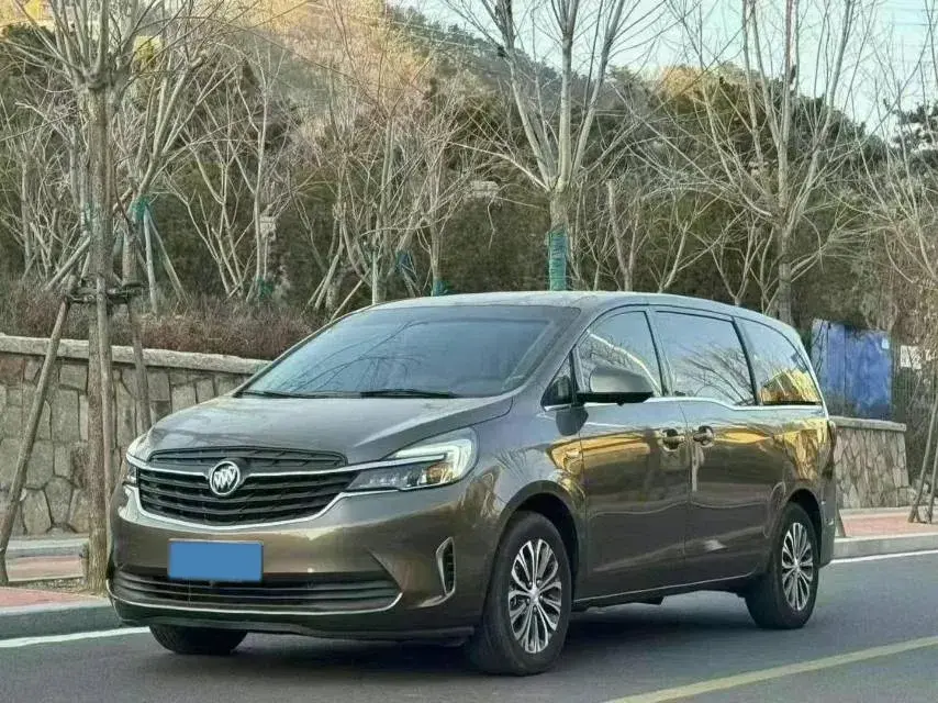 2021 BUICK GL8 view 1