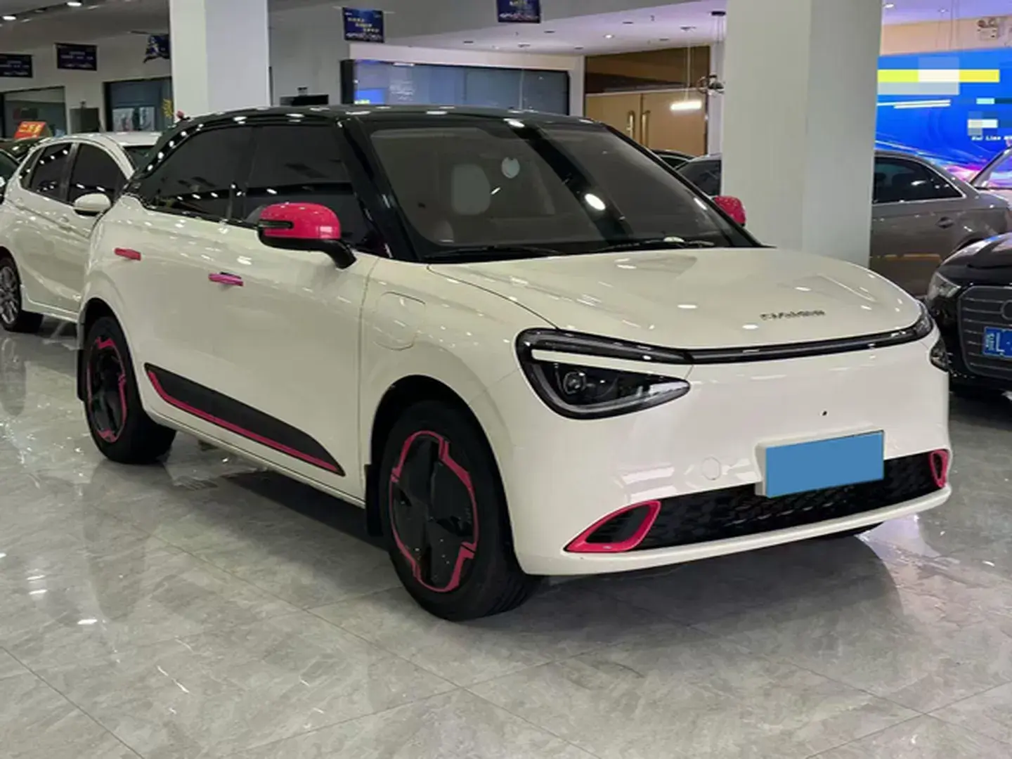 2024 DONGFENG NAMMI thumbnail 2