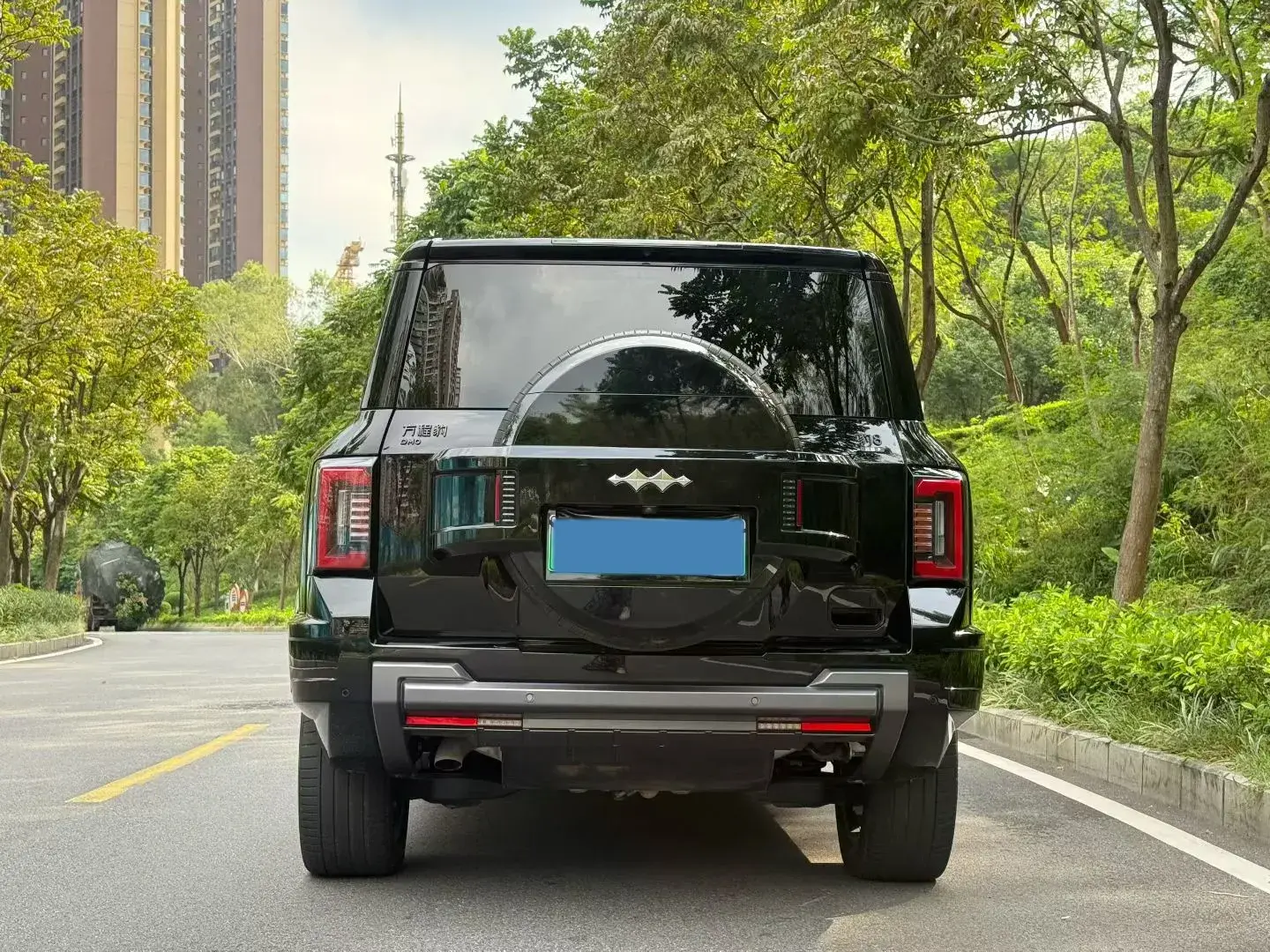 2025 FANGCHENGBAO BAO thumbnail 4