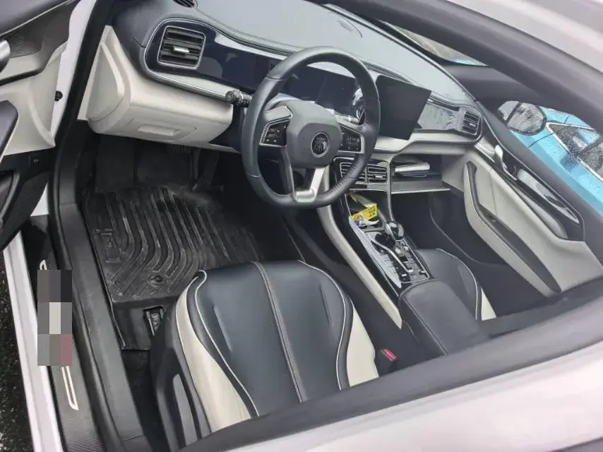 2022 BYD DESTROYER thumbnail 4