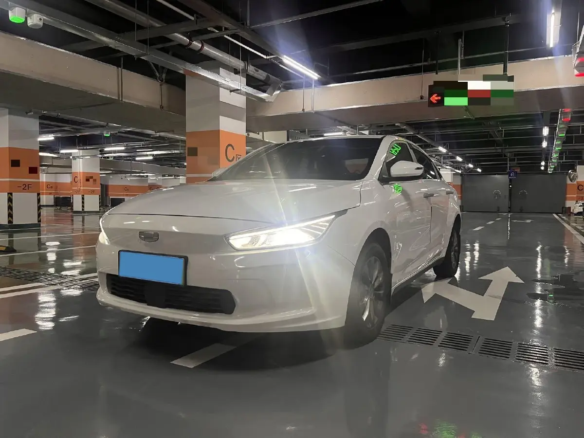 2019 Geometry A BEV 51.9KWH