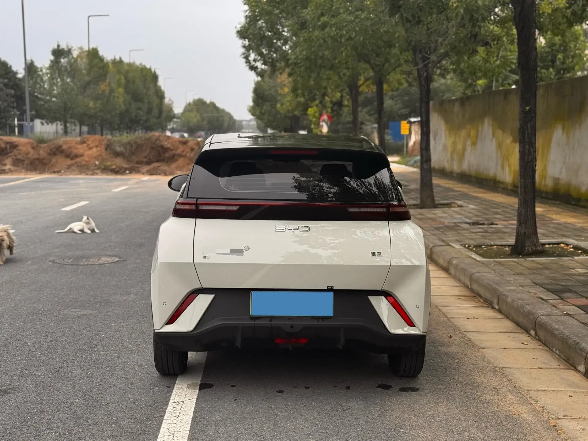 2024 BYD SEAGULL thumbnail 4