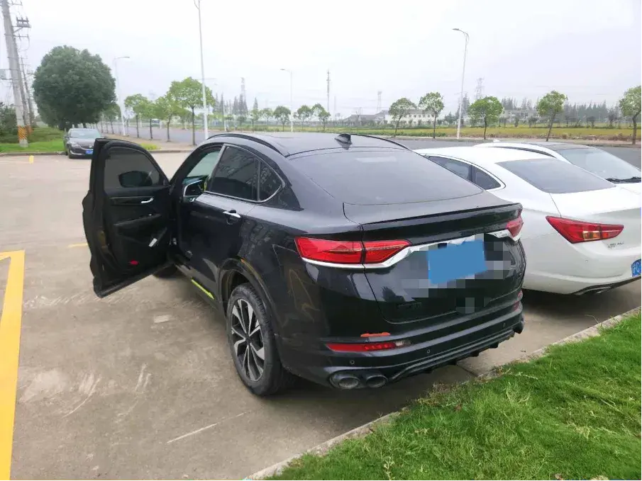 2021 GEELY TUGELLA thumbnail 4