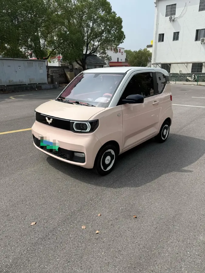 2021 WuLing HongGuang MINI EV BEV 13.9KWH