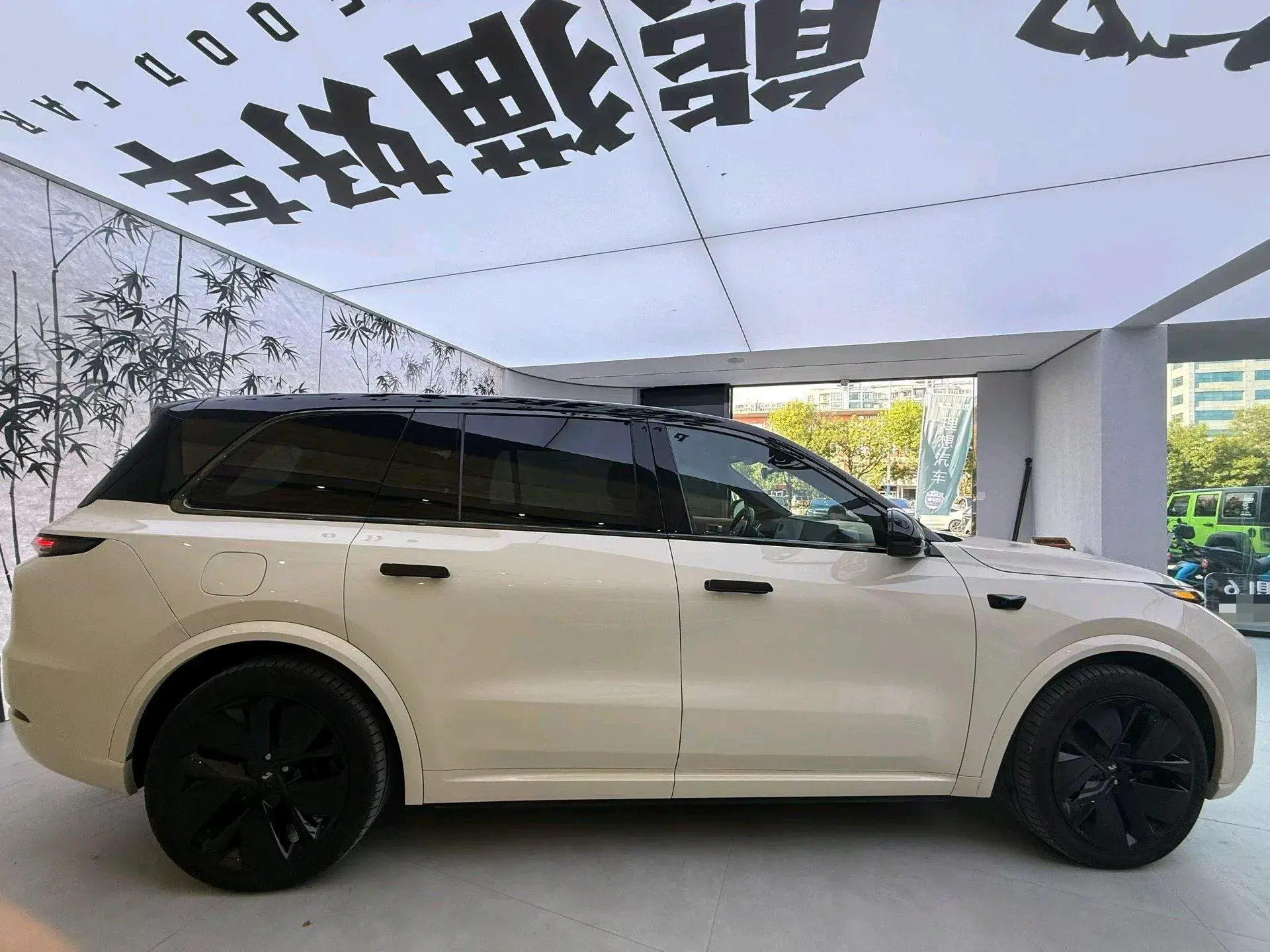 2022 LI L9 thumbnail 4