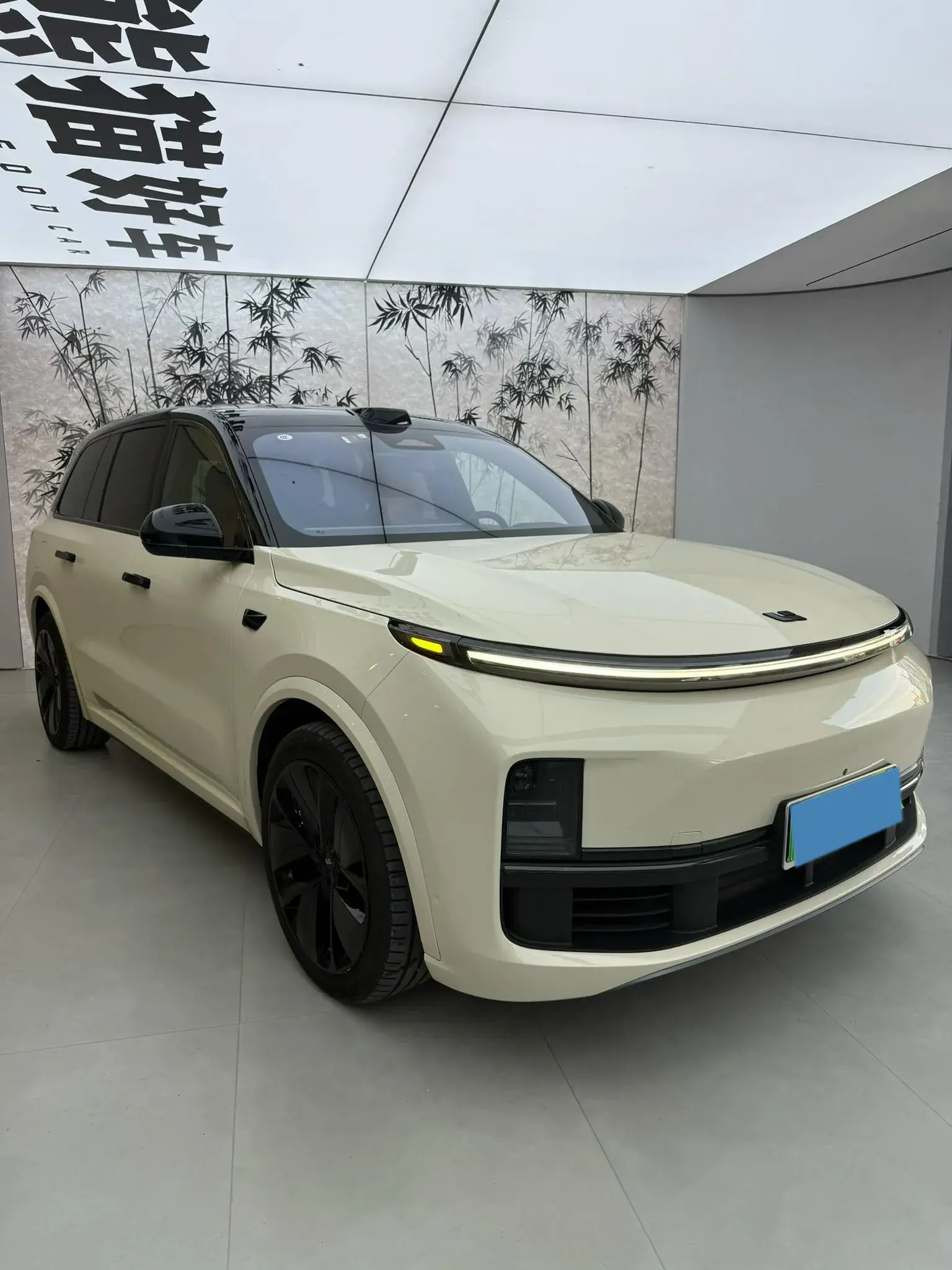 2022 LI L9 thumbnail 2